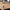 Allocacoc PowerCube® Extended |Monitor|