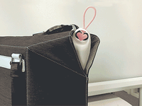 Seatbag